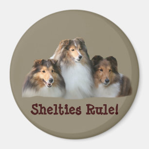 Imán Sheltie Magnet