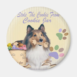 Imán Sheltie Stole Los imanes De Las Galletas