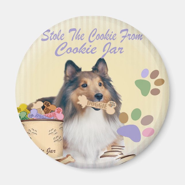 Imán Sheltie Stole Los imanes De Las Galletas (Frente)