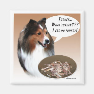 Imán Sheltie Turquía Magnet