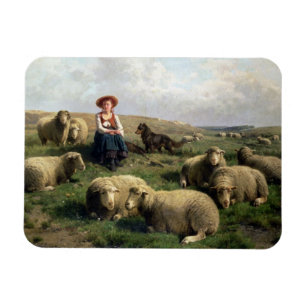 Imán Shepherdess con las ovejas en un paisaje