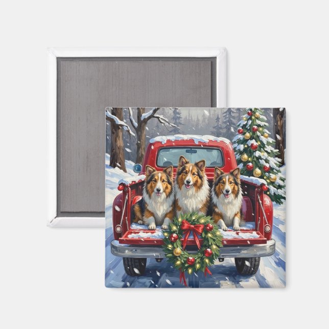 Imán Shetland Sheepdog Christmas Red Truck Holiday (Anverso/Reverso)