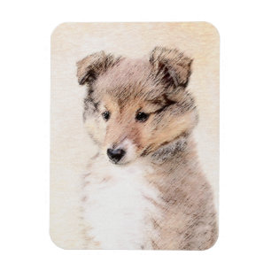 Imán Shetland Sheepdog Puppy Pintura Original Perro Art