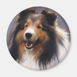 Imán Shetland Sheepdog Sheltie Art Gifts