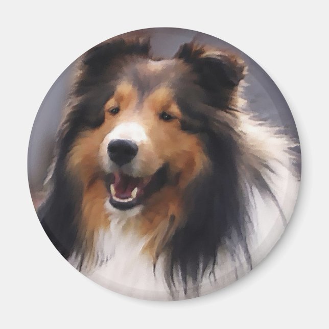 Imán Shetland Sheepdog Sheltie Art Gifts (Frente)