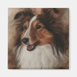 Imán Shetland Sheepdog Sheltie sonriendo