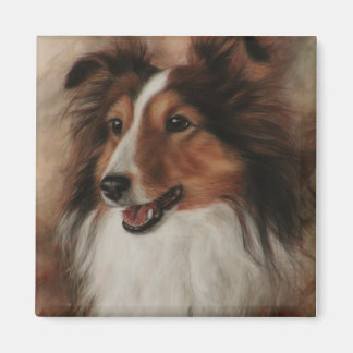 Imán Shetland Sheepdog Sheltie sonriendo