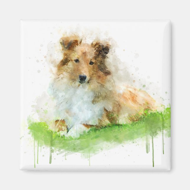 Imán Shetland Sheepdog / Shelty (Frente)