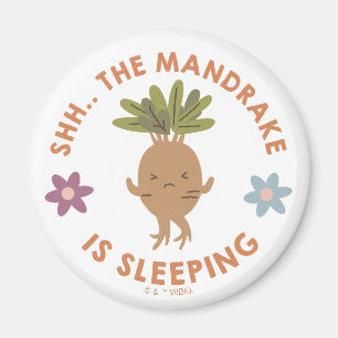 Imán Shh. El Mandrake duerme