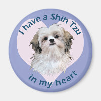 Shi Tzu en mi corazón