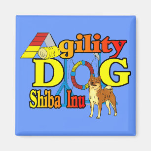 Imán Shiba Inu Agility