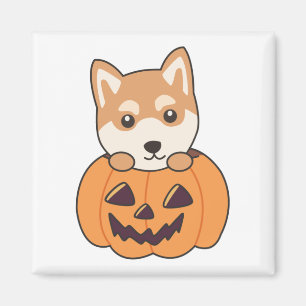 Imán Shiba Inu En Calabaza Dulces Perros Felices Mamáes