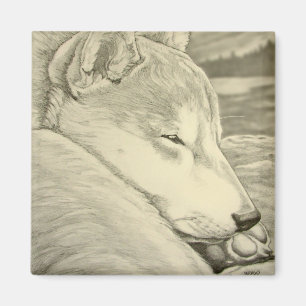 Imán Shiba Inu Fridge Magnet Husky Dog Magnet Regalo