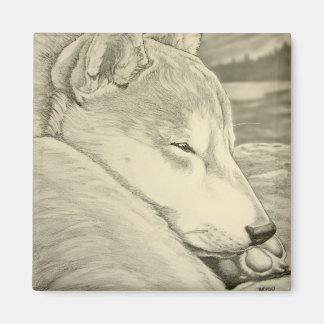 Imán Shiba Inu Fridge Magnet Husky Dog Magnet Regalo