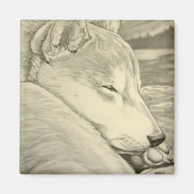 Imán Shiba Inu Fridge Magnet Husky Dog Magnet Regalo (Frente)