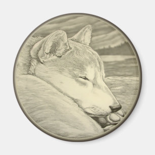 Imán Shiba Inu Fridge Magnet Shiba Inu Dog Magnet Regal