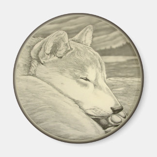 Imán Shiba Inu Fridge Magnet Shiba Inu Dog Magnet Regal