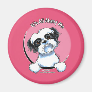 Imán Shih negro/blanco Tzu IAAM