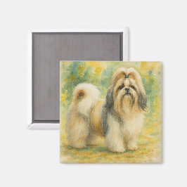 Imán Shih Tzu