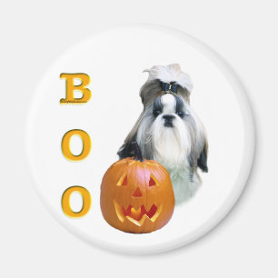 Imán Shih Tzu Boo