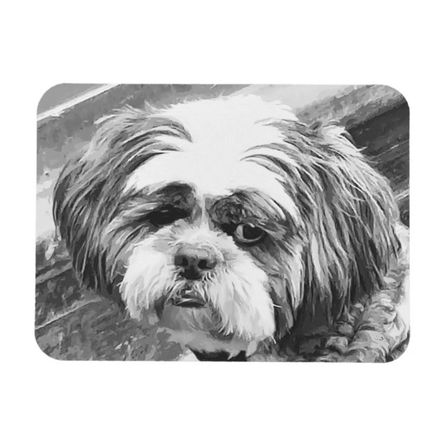 IMÁN SHIH TZU DOG (Horizontal)
