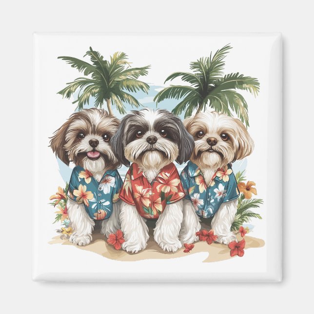 Imán Shih Tzu Dogs con Camisetas hawaianos (Frente)