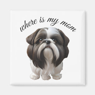 Imán Shih Tzu - ¿Dónde Está Mi Mamá?