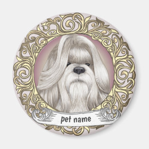 Imán Shih Tzu imnet