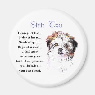 Imán Shih Tzu Lovers Regalos
