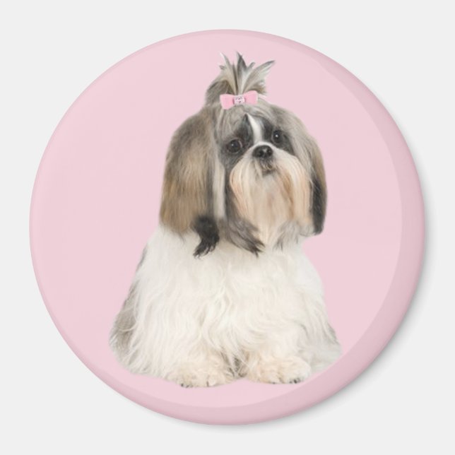 Imán Shih Tzu Magnet (Frente)
