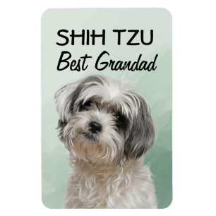Imán Shih Tzu Mejor Abuelo