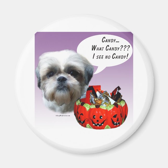 Imán Shih Tzu (natural) Candy de Halloween (Frente)