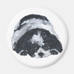 Imán Shih Tzu Negro y Blanco