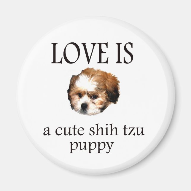 Imán Shih Tzu Puppy (Frente)