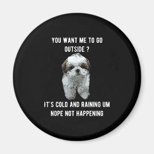 Imán Shih Tzu   Shih Tzu Que Quieres Que Salga Fuera