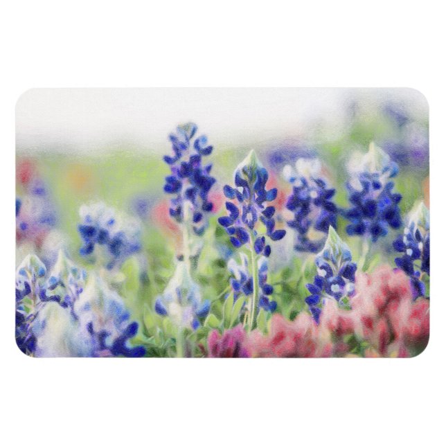 Imán Shimmering Bluebonnets (Horizontal)