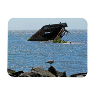 Imán Shipwreck de Cape May