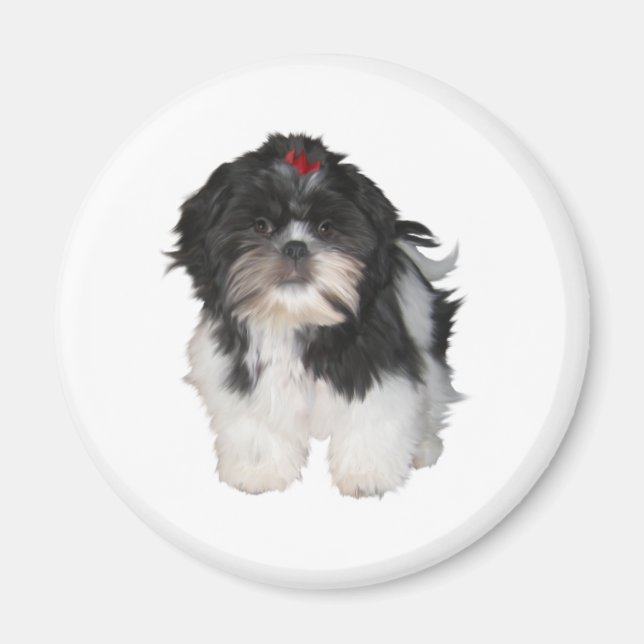 Imán Shitzu Shih Tzu Cuppy Perros (Frente)