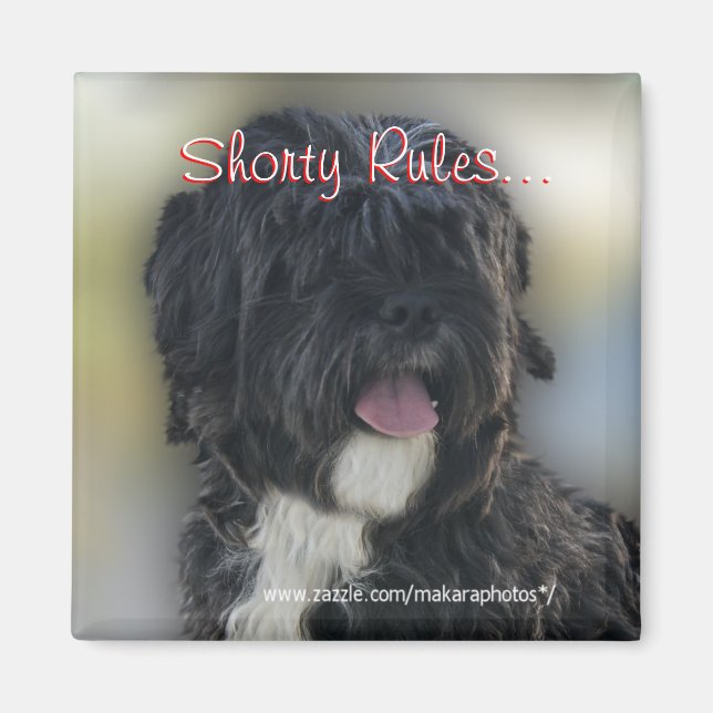 Imán Shorty Lhasa Apso-Shih Tzu Magnet-personalizar (Frente)