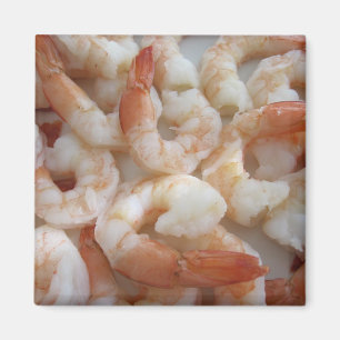 Imán Shrimpy Magnet