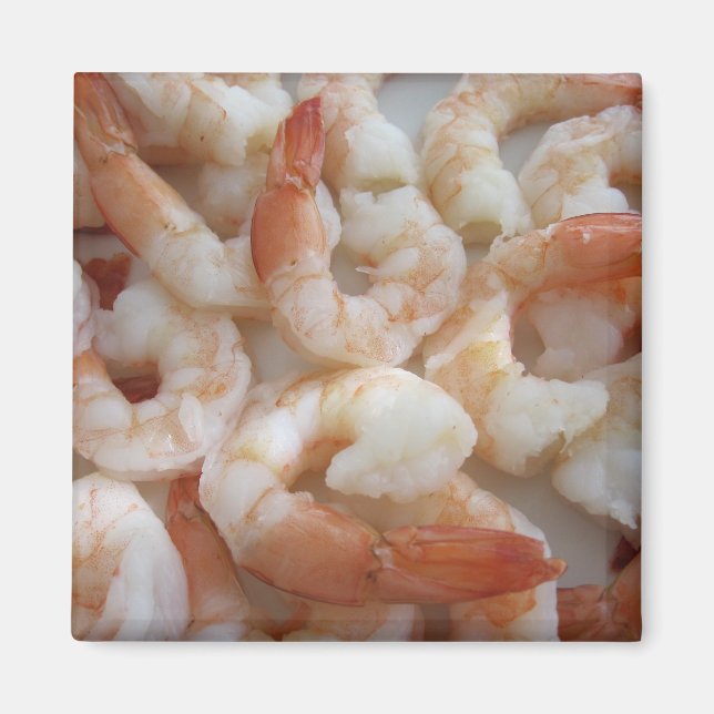 Imán Shrimpy Magnet (Frente)