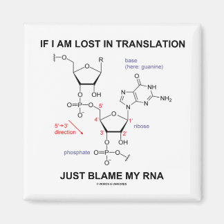 Imán Si Me Pierde La Traducción, Culpen A Mi RNA
