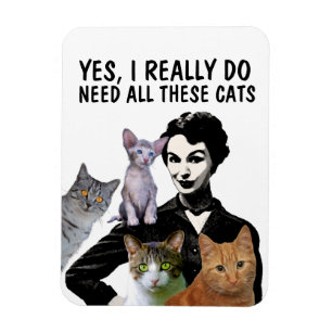 IMÁN SÍ, REALMENTE NECESITO TODOS ESTOS GATOS CAT MAGNE