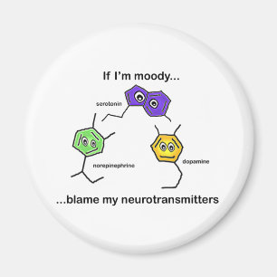 Imán Si soy Moody...