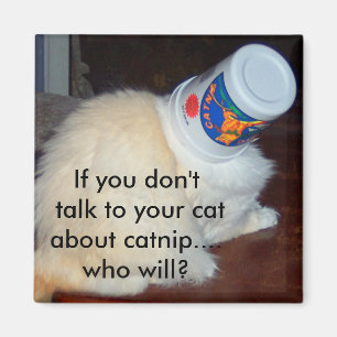 Imán Si usted no habla con su gato sobre catnip… qui