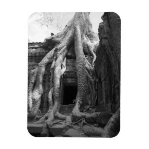 Imán Siam Reap, Camboya. Justo fuera de Siam Reap,
