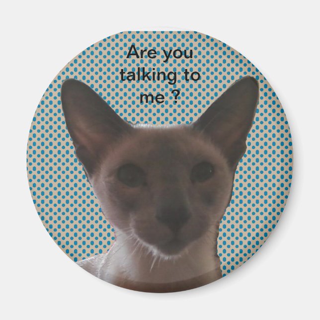 Imán Siamese Silly Cat (Frente)