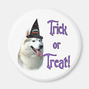 Imán Siberian Husky Trick