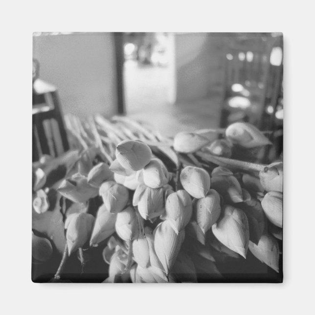 Imán Siem Reap Camboya, Flores de Loto (Frente)