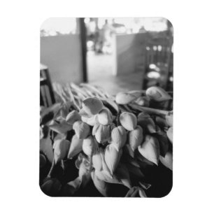 Imán Siem Reap Camboya, Flores de Loto